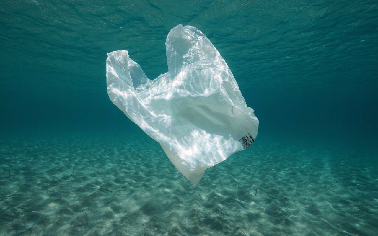 À partir du 1er janvier 2020 : interdiction des produits en plastique à usage unique, ce qu’il faut savoir