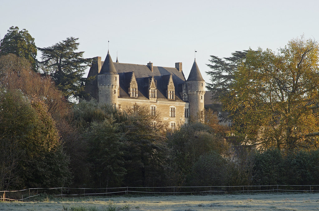  chateau Montrésor (Indre-et-Loire)