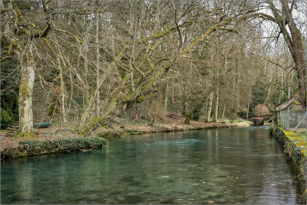 La Rivière 'Bèze'.
