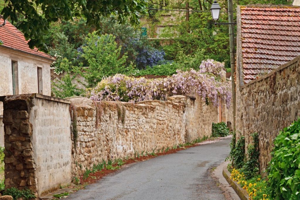 Une rue étroite bordée de murs en pierre et d'arbres.