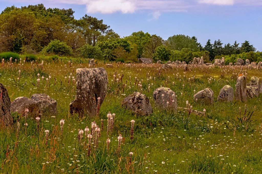Un champ de pierres avec de l'herbe et des fleurs.