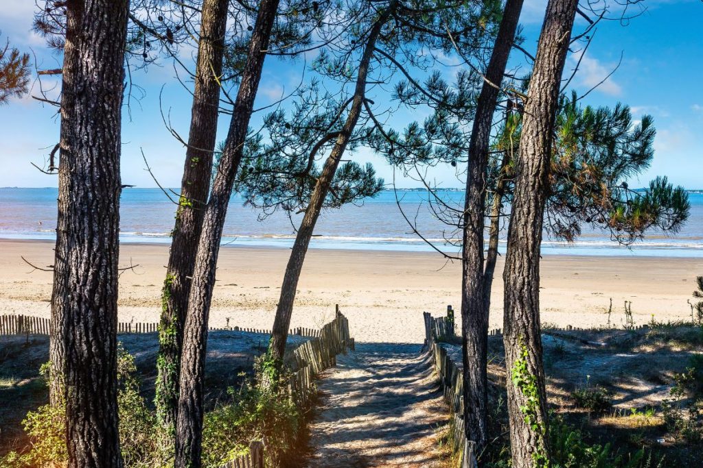 Un chemin menant à la plage avec des arbres en arrière-plan.