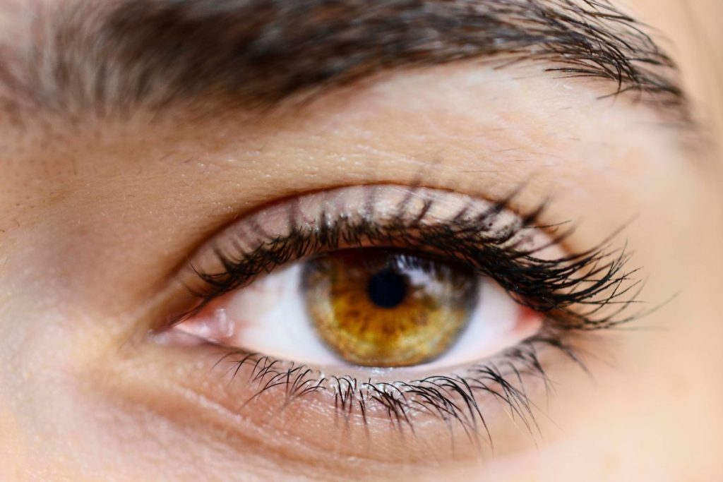 Un gros plan d'un oeil de femme aux cils bruns.