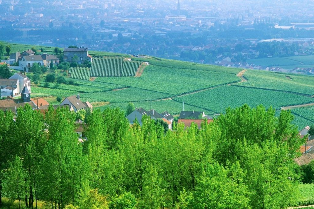 Une vue sur une colline verdoyante avec des maisons et des arbres.
