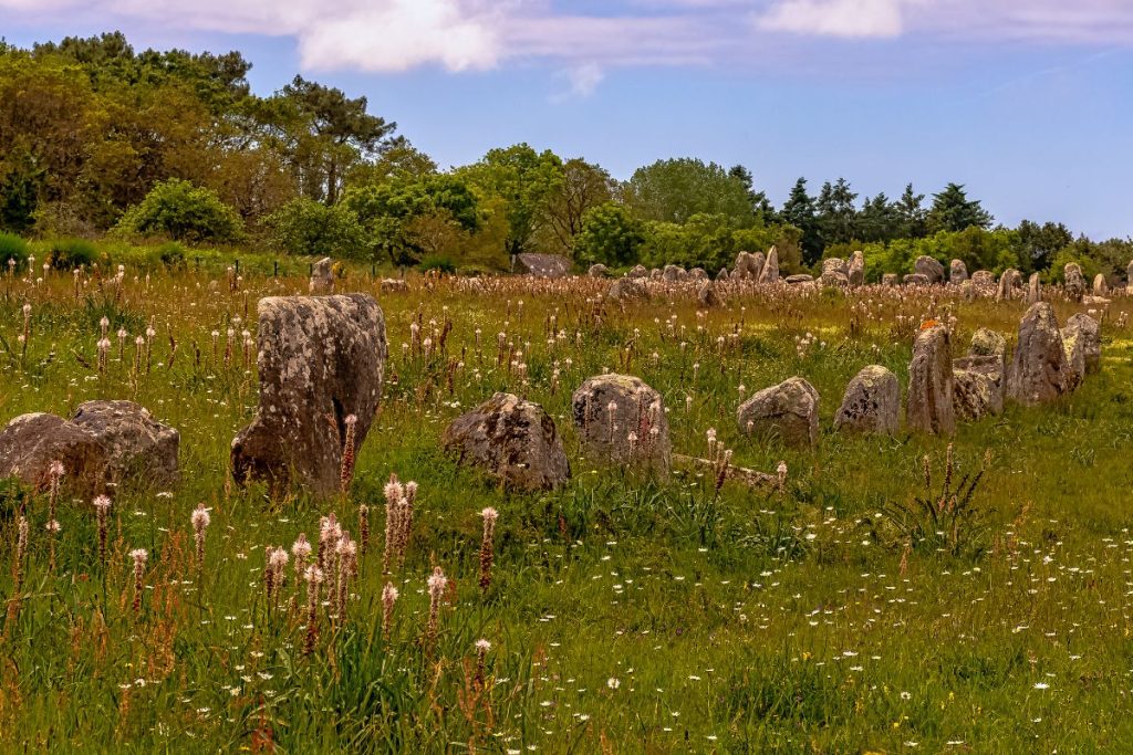 Un champ herbeux avec beaucoup de pierres.