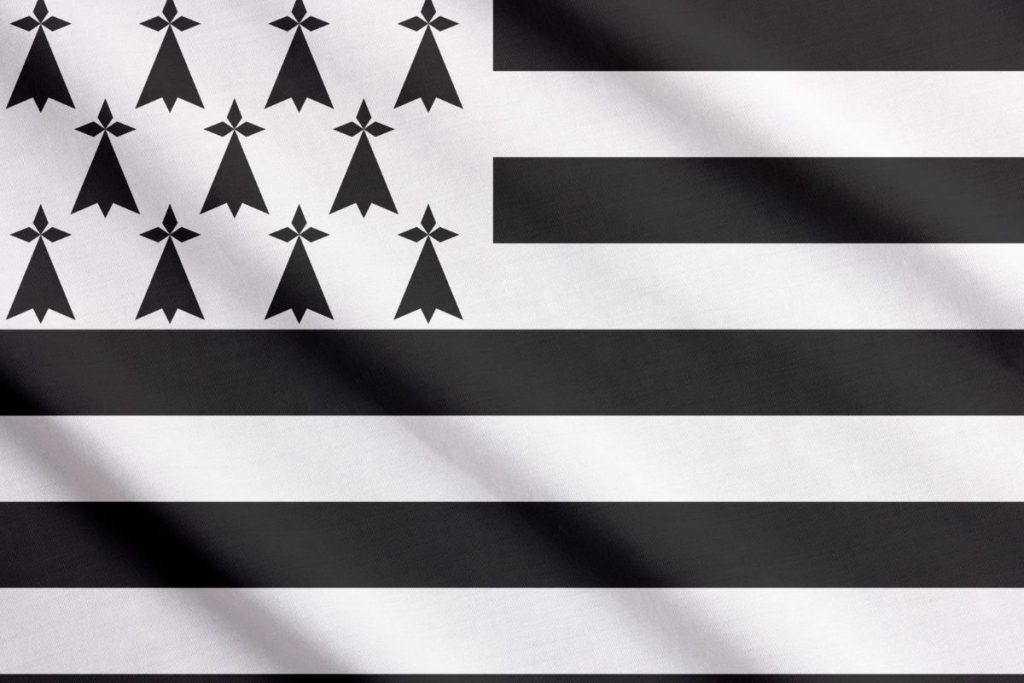 Un drapeau noir et blanc avec des flèches dessus.