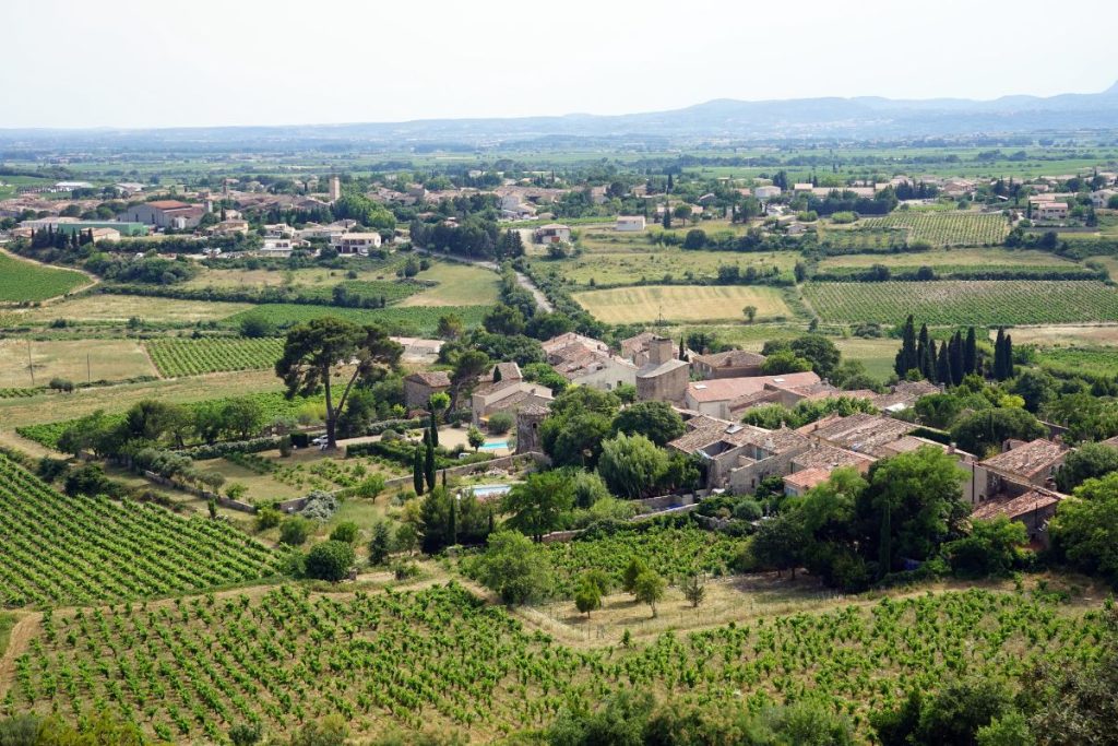 Une vue aérienne d'un village et de vignobles.