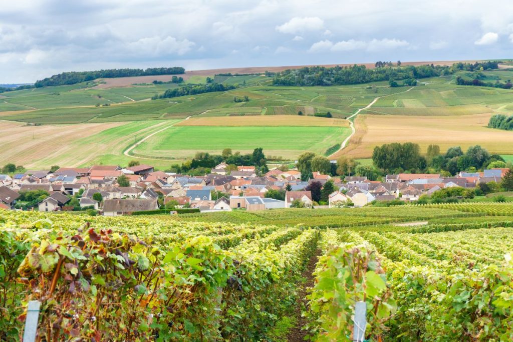 Une vue sur un vignoble avec un village en arrière-plan.