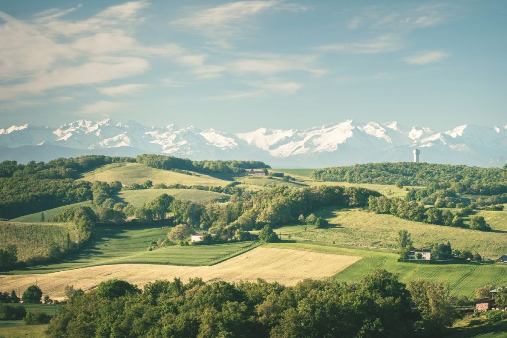 Une vue sur un champ vert avec des montagnes enneigées en arrière-plan.