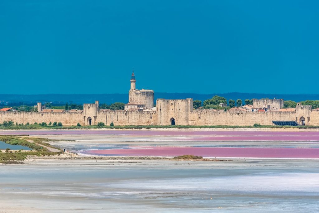 Un lac rose avec un château en arrière-plan.