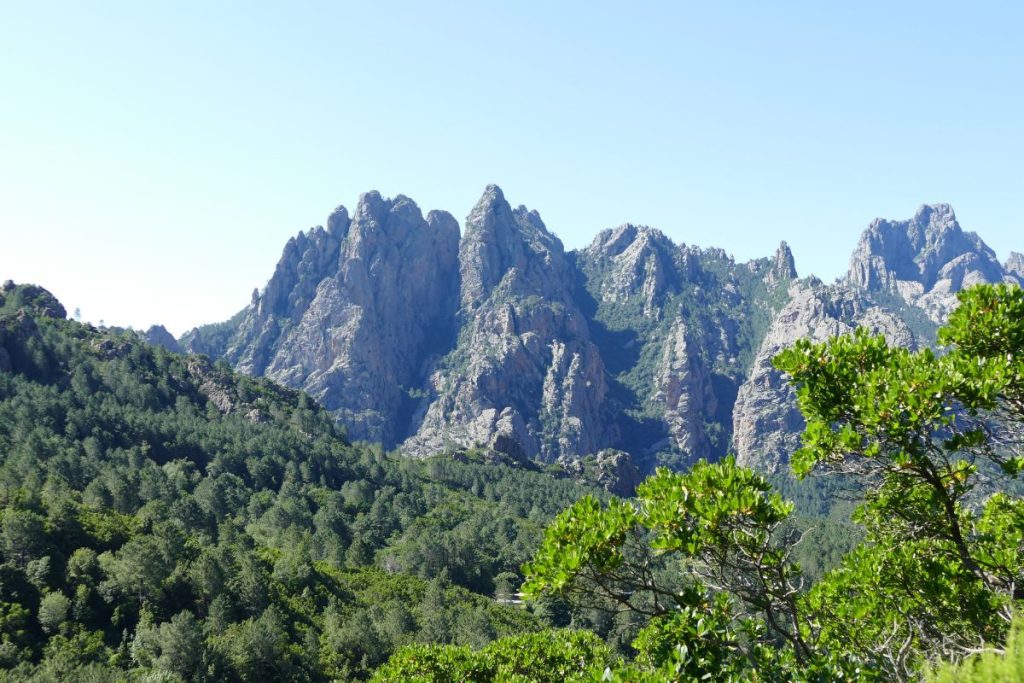 Une vue sur une chaîne de montagnes avec des arbres en arrière-plan.
