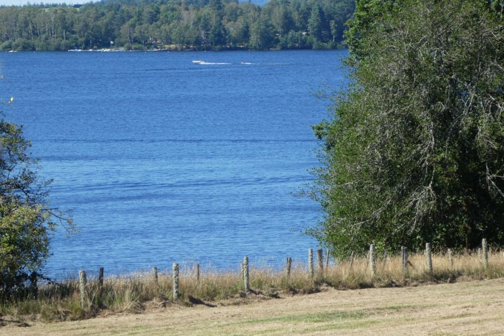 Un homme chevauchant un bateau dans un champ à côté d’un plan d’eau.