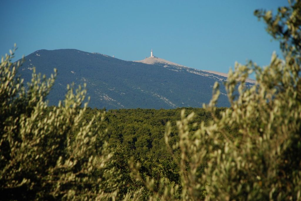 Une montagne avec des oliviers en arrière-plan.
