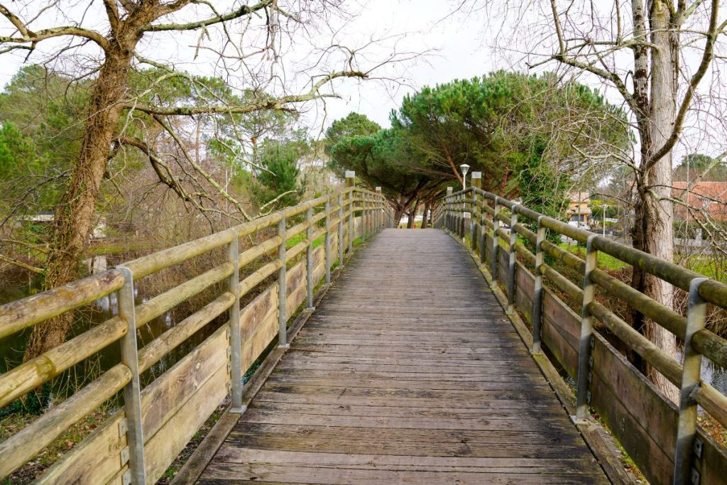 Un pont en bois dans un parc.