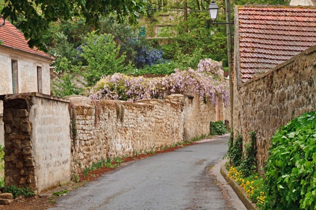 Une rue d'un village avec des murs en pierre et des fleurs.