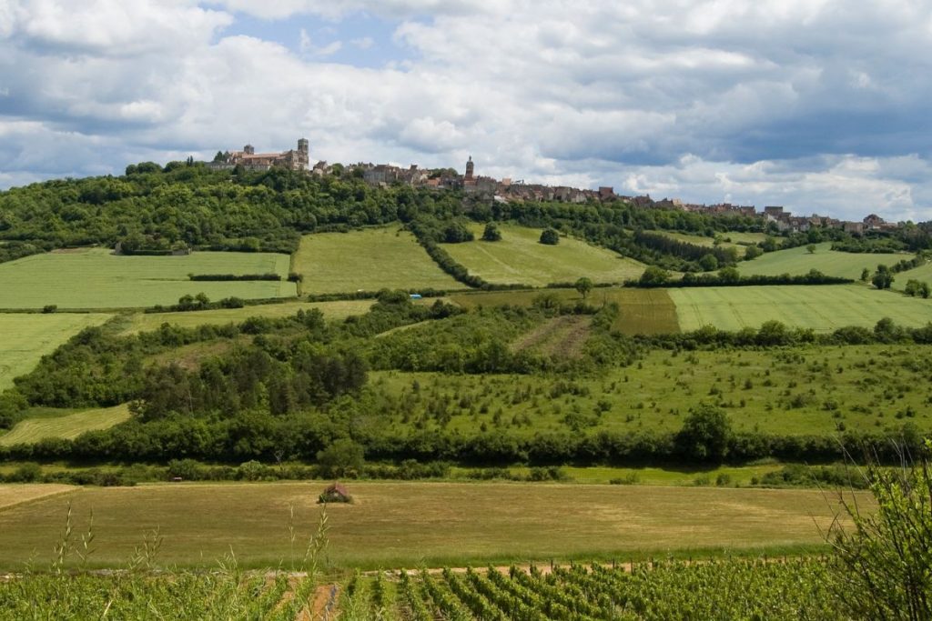 Une vue sur un champ vert avec une colline en arrière-plan.
