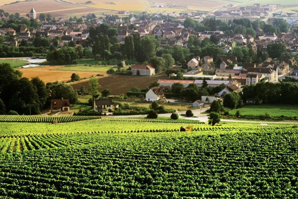 Une vue sur un vignoble avec un village en arrière-plan.