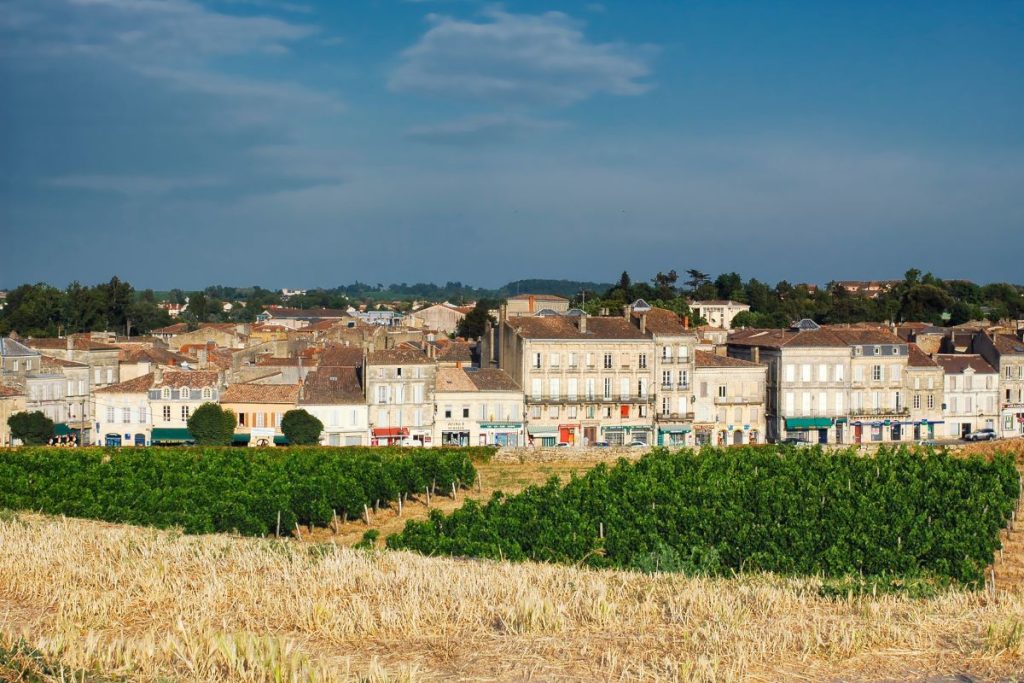 Une vue d'un village européen traditionnel avec des vignobles au premier plan sous un ciel bleu clair.