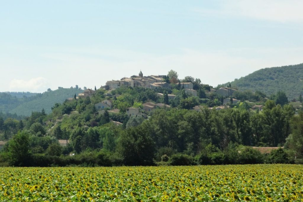 Un champ de tournesols avec un village en arrière-plan.