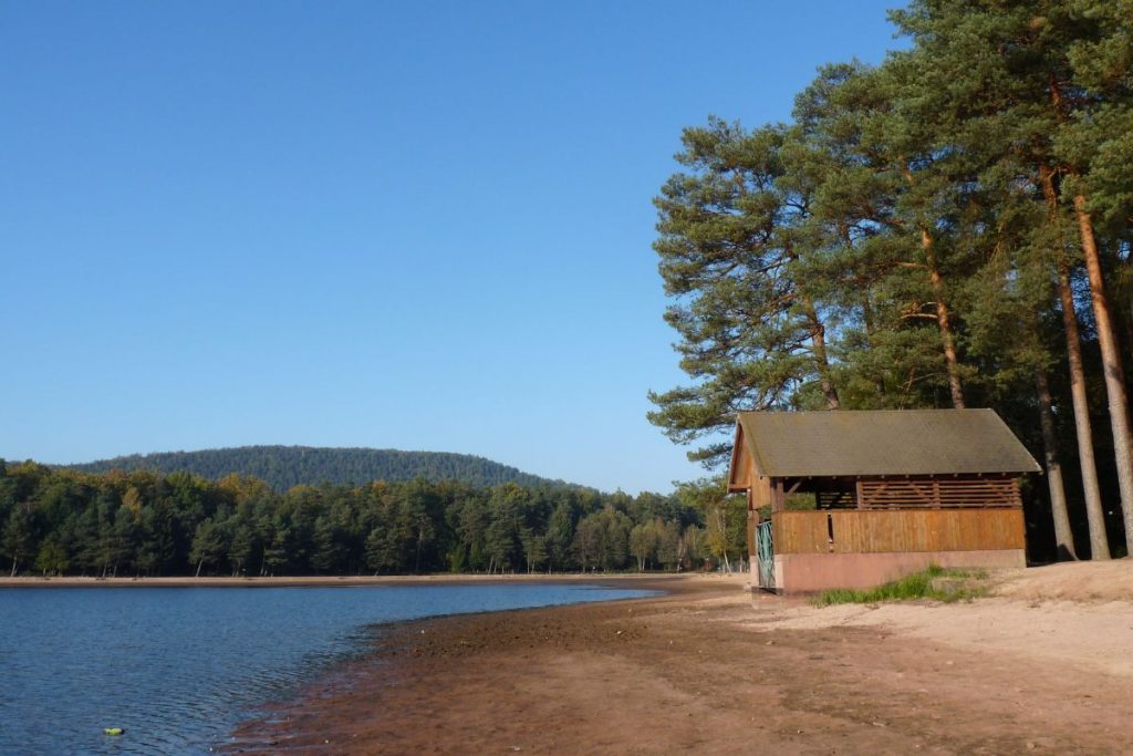 Un bord de lac serein avec une cabane en bois et des pins sous un ciel bleu clair.