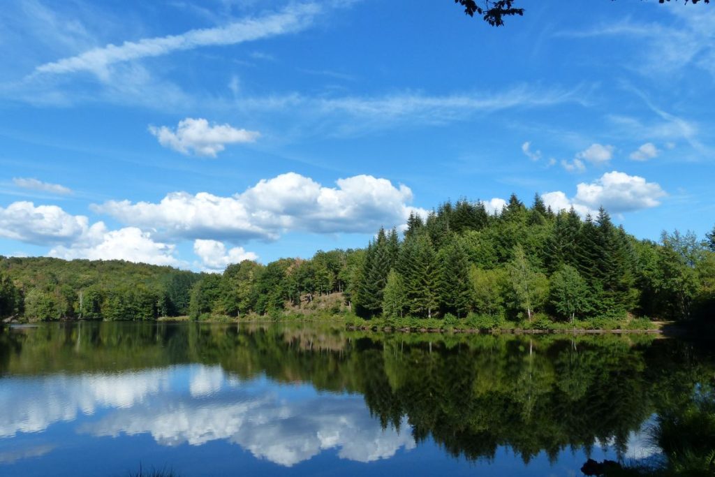 Un lac serein avec des reflets clairs des arbres environnants et un ciel bleu avec des nuages vaporeux.