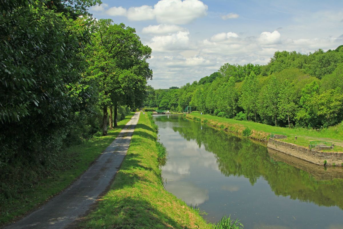 Un sentier de canal tranquille bordé d'arbres verts luxuriants sous un ciel bleu clair.