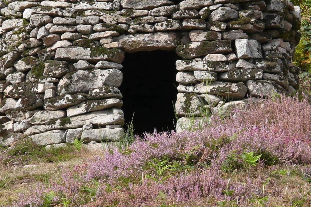Ancienne cabane en pierre avec une entrée sombre entourée de bruyères violettes sauvages.
