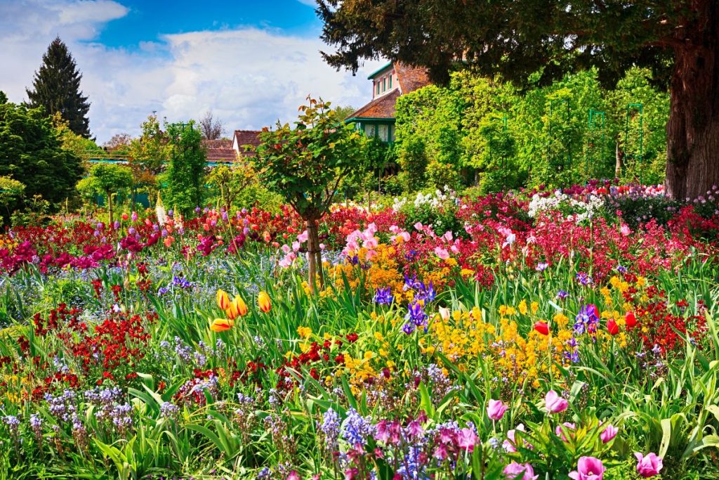 Un jardin animé rempli de tulipes colorées, de jonquilles et d'autres fleurs, avec une maison en brique classique et des arbres luxuriants en arrière-plan par une journée ensoleillée.