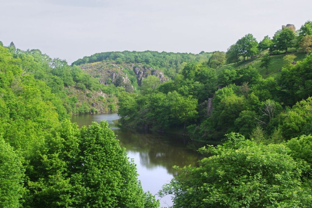 Un paysage fluvial serein avec un feuillage vert luxuriant et des falaises escarpées en arrière-plan.