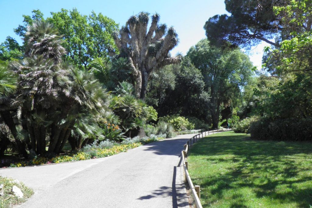 Un chemin pavé serpentant à travers un jardin luxuriant avec différents types de grands palmiers et des arbustes verts denses sous un ciel bleu clair.