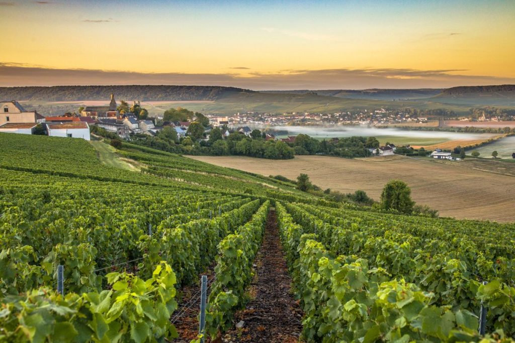 Rangées de vignes menant à un village au lever du soleil avec des collines en arrière-plan.
