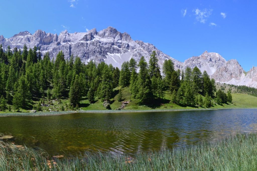 Un lac avec des arbres et des montagnes en arrière-plan.
