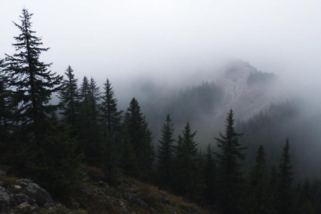 Moins connu que le Vercors, plus confidentiel que le Jura : ce massif intrigue