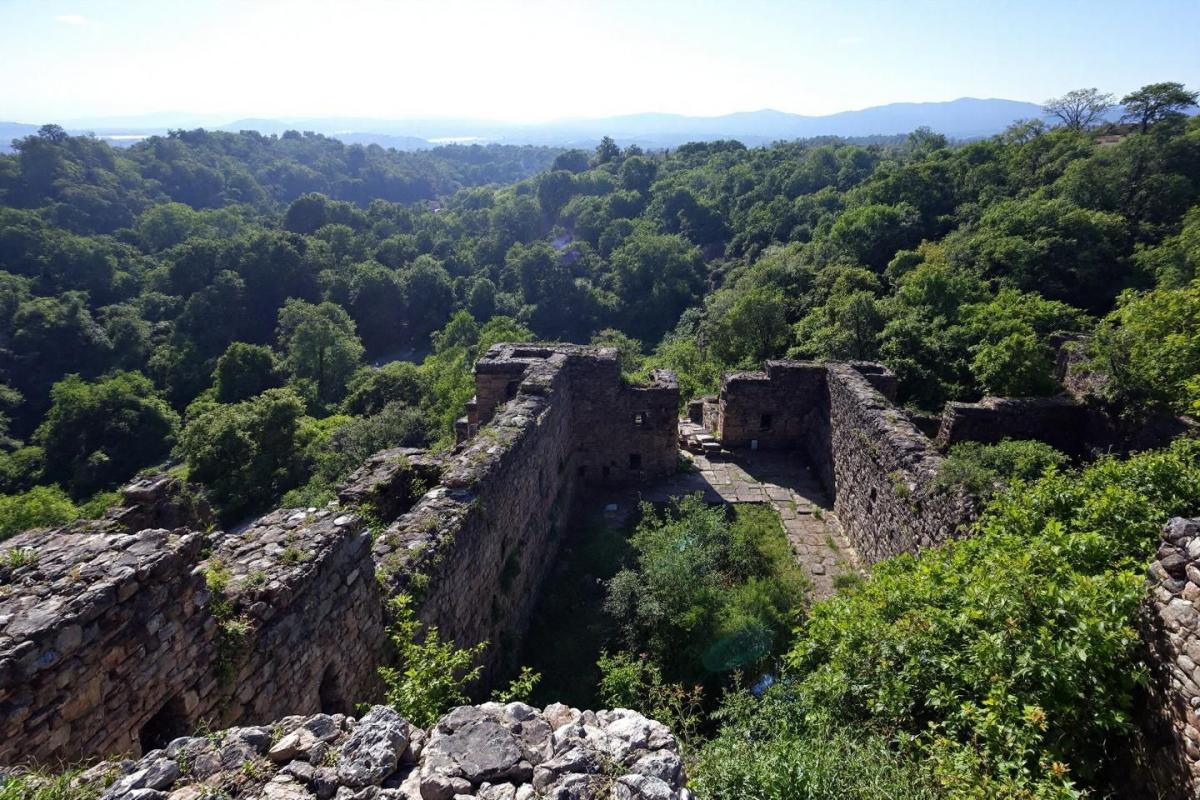 À quelques kilomètres de Bordeaux, cette citadelle perchée veille sur l’estuaire depuis des siècles