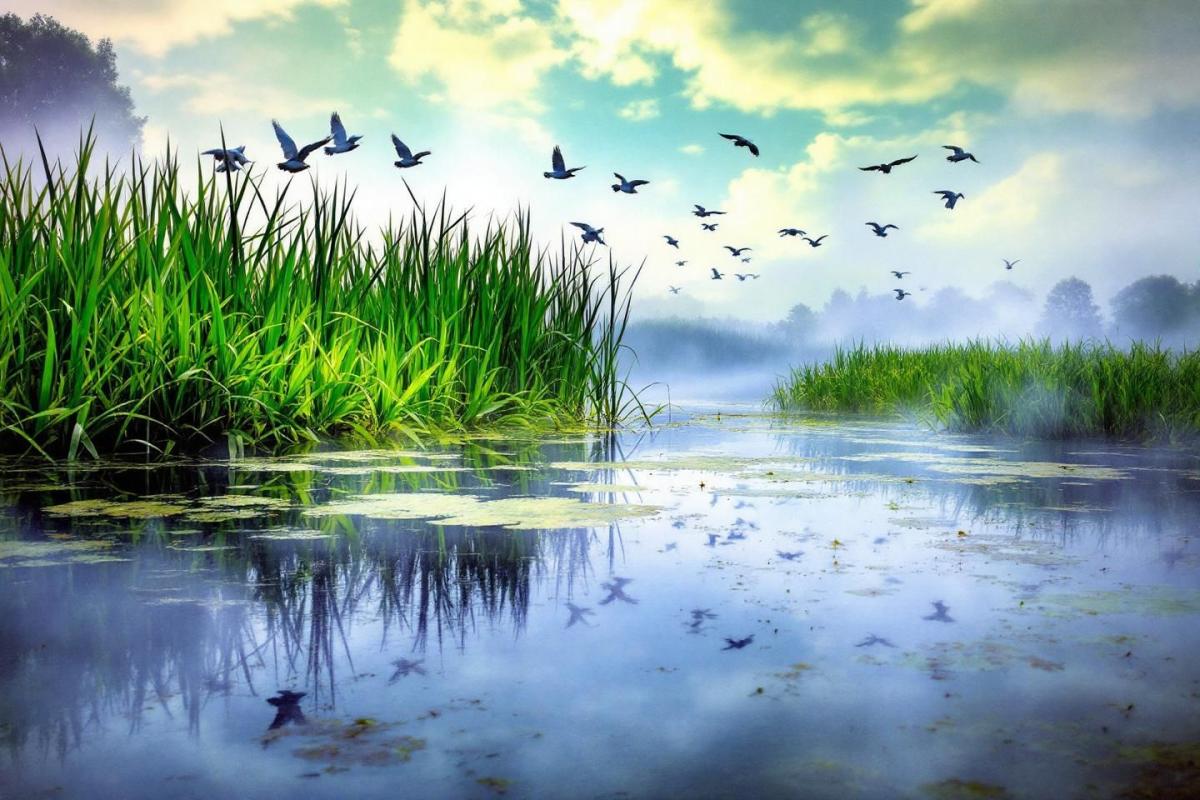 Dans l’ombre de Annecy : cette cité savoyarde est un bijou discret au bord du lac