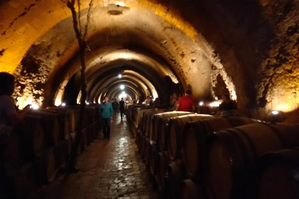 En Alsace, ce hameau fleuri aux maisons Renaissance semble figé au XVIe siècle
