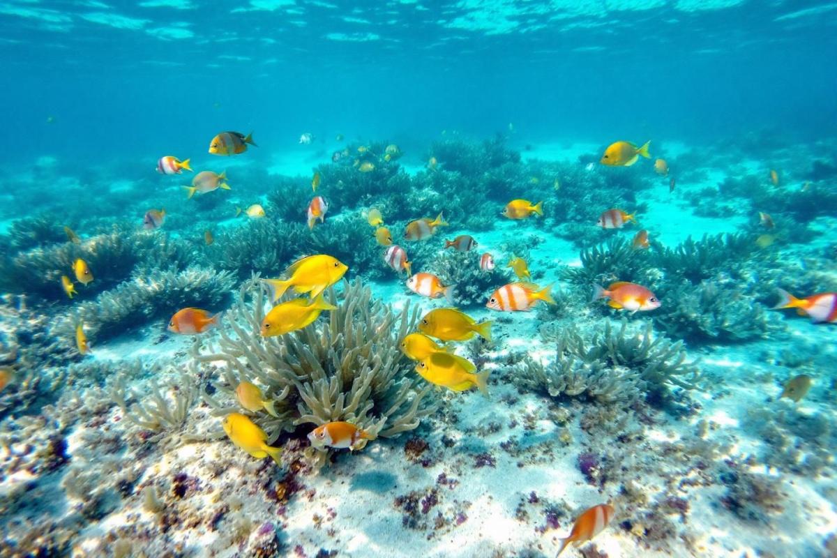 Et si vous laissiez tomber la Côte d’Azur ? Cette plage corse secrète est un paradis préservé