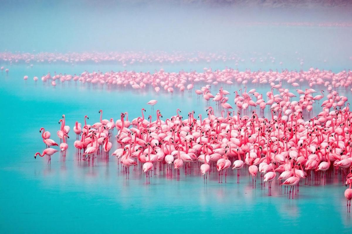 La Riviera est dépassée : cette presqu’île varoise aux criques turquoise change la donne