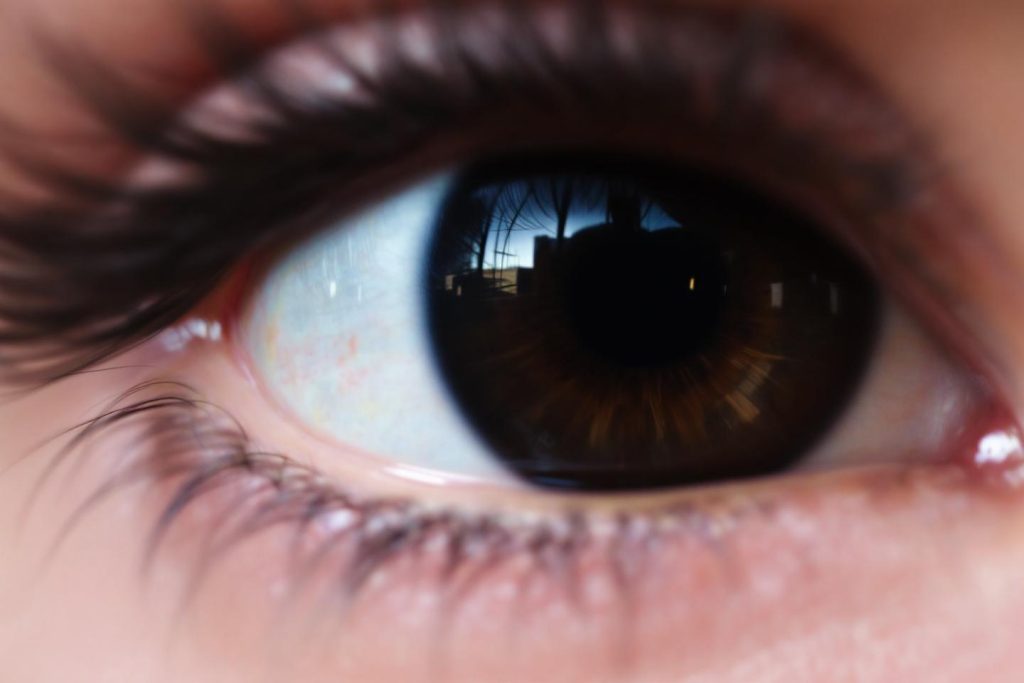 Les yeux noirs existent-ils vraiment ? Photos et images de cette couleur d'yeux