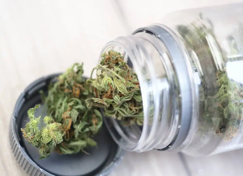 Des bourgeons de cannabis séchés débordant d'un bocal en plastique transparent et se répandant sur une surface de couleur claire.