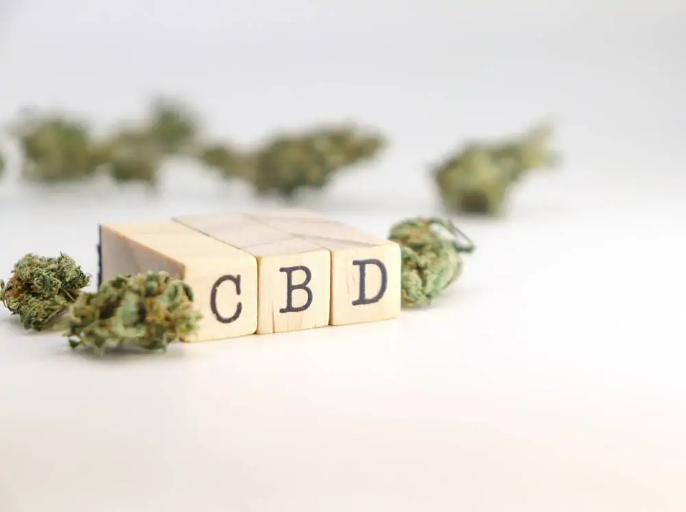 Des blocs de bois formant l'acronyme « CBD » sont disposés à côté de plusieurs têtes de cannabis sur une surface blanche, avec un arrière-plan flou.